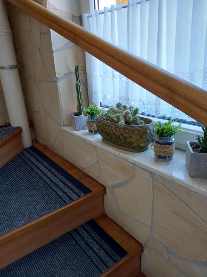 Viola Vendeghaz Bed and Breakfast Pápa Εξωτερικό φωτογραφία